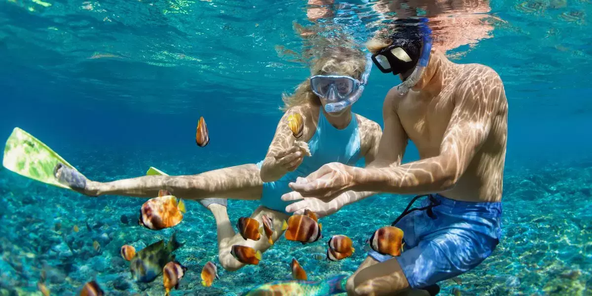 Beach Hopper Snorkel — Adulto con Lunch