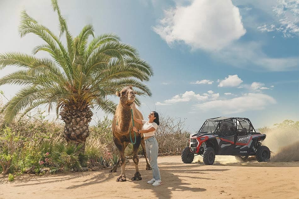 Combo Off Road and Camel — Double