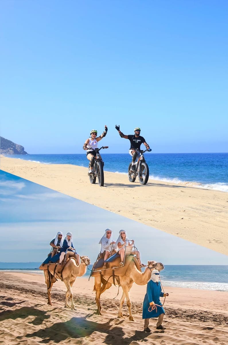 Combo E-Bike and Camel