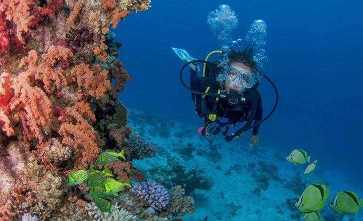 Beginner Scuba 1 Tank