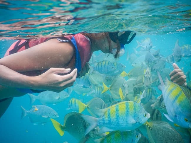 Beach Hopper Snorkel — Menor con Lunch
