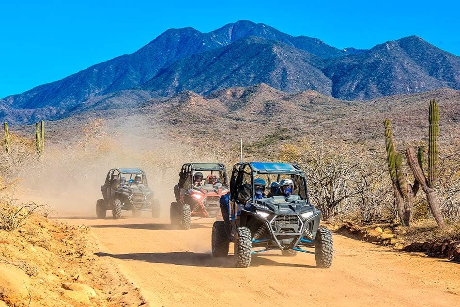Combo Off Road and Camel — Triple
