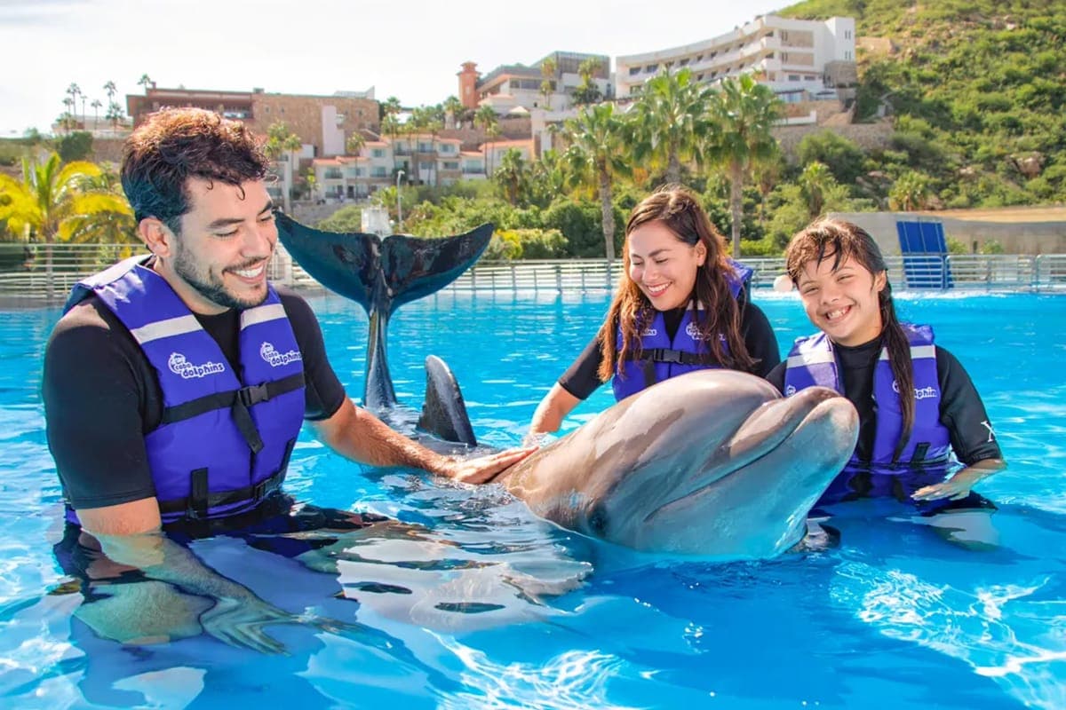Dolphin Family Encounter